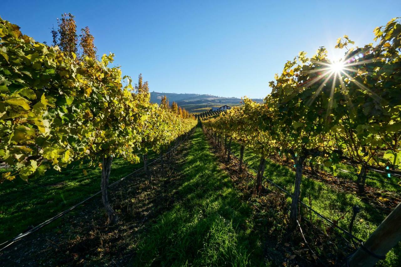 The Vineyards Lodge シェラン エクステリア 写真